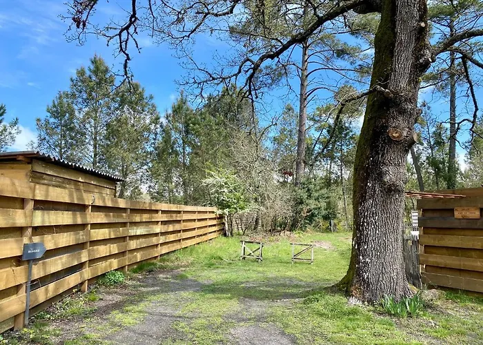 بيت ضيافة Escale Sous Le Chene ساليس